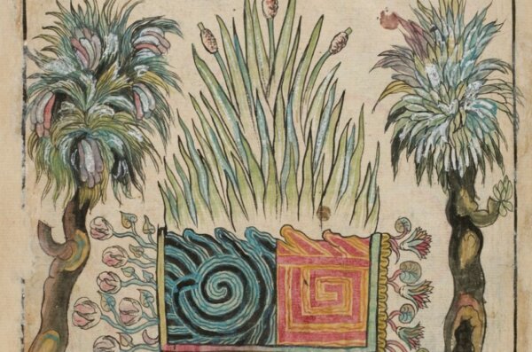 An illustration from a Nahua codex showing a central geometric motif surrounded by trees, reeds, and flowering plants.